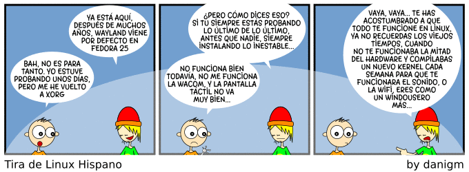 ../_images/wayland.png